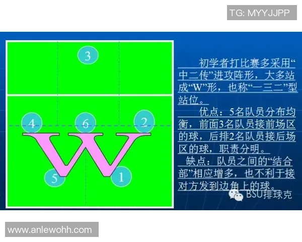 广州排球队中路突破战术解析与实战应用研究 广州排球队中路突破战术解析与实战应用研究